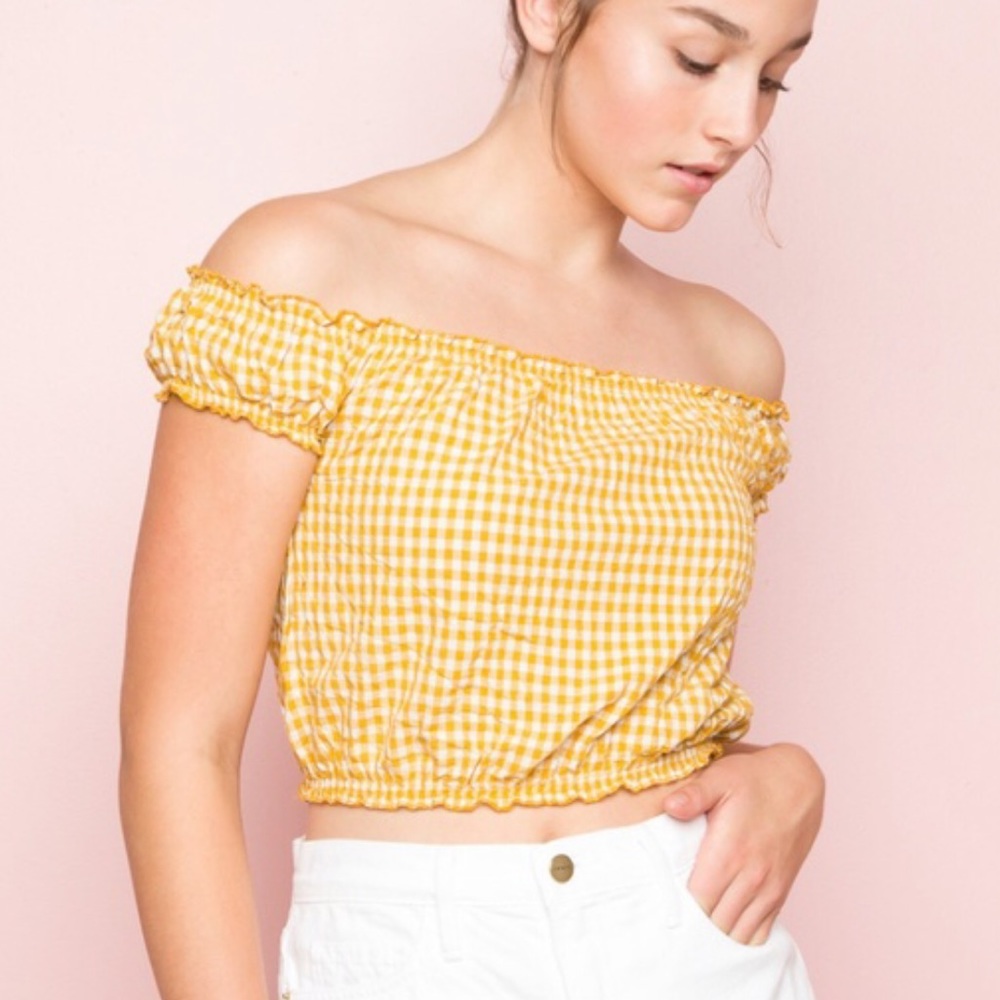 Flash Sale⚡️Brandy Melville Gingham Crop Top